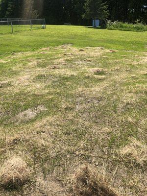 Morning Star Excavation & Septic