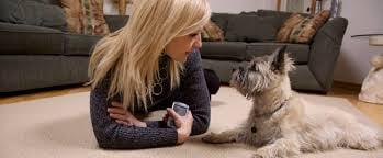 Organic Carpet Cleaning Woodland Hills