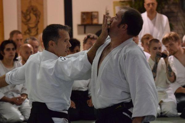 Aikido Grand Rapids. Kyoseikan Dojo, Grand Rapids Aikikai.