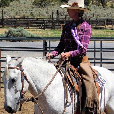 Weston Equine Services