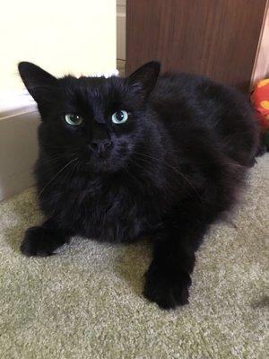 Penury Hall Bed & Breakfast