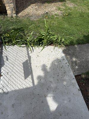 Tony & Son Landscaping