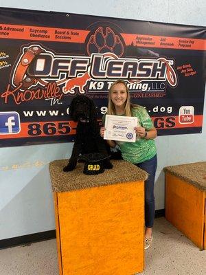 Off Leash K9 Training