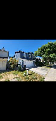 Brothers Moreno Painting