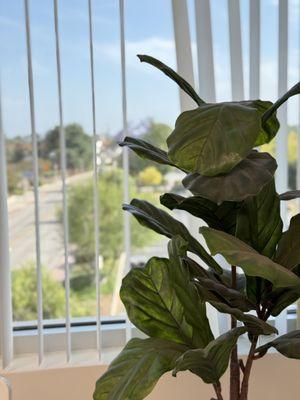 Artist Star Aesthetic Medicine