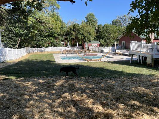 Rivas Design & Landscaping