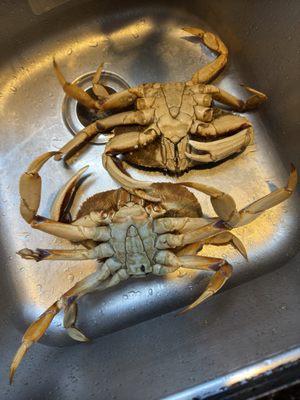 Goldstar Supermarket