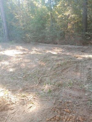 Panola County Dog Rescue