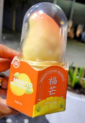 PROPITIOUS MANGO ICE CREAM