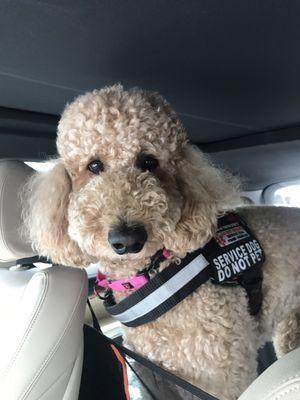 7/17Hannahs Beauty Girly Bath Special Weekly Treat Bath THANKS PATTY XXXXOOO