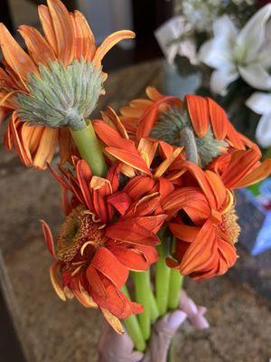 Arizona Floral Exchange