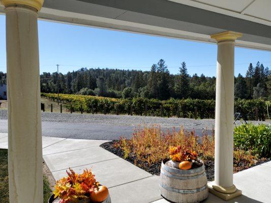 Ciello Sulla Terra Estate Vineyards & Winery