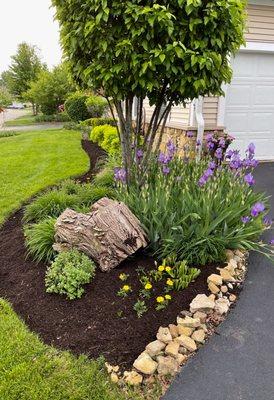Spring Mulch install