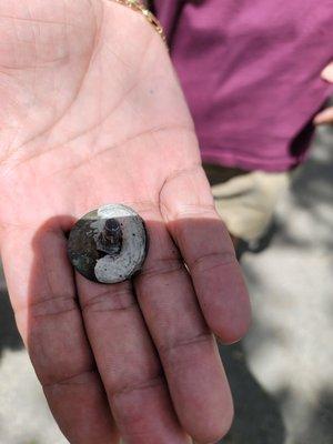 Mark & Son Roof and General Contracting