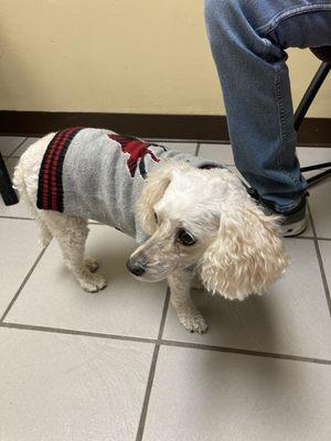 Dearborn Animal Clinic