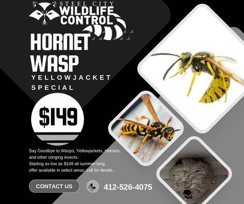 Steel City Wildlife Control