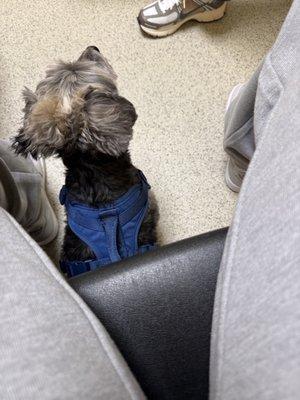 Upper Marlboro Veterinary Hospital