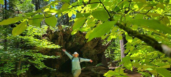 Linda Humason - Premiere Property Group