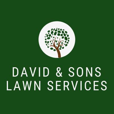 David & Sons Lawn Service