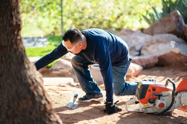 Escor Lakeview Landscaping