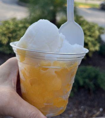 Mango and Coconut ice blend