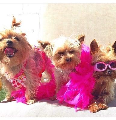 The Club Beverly Hills