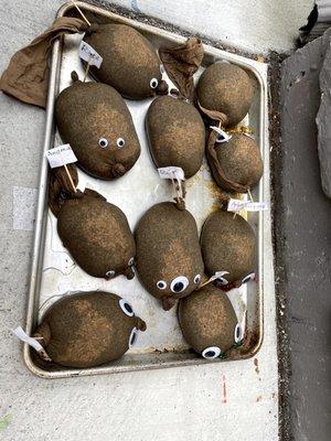 Su Yun's Chinese Learning Center