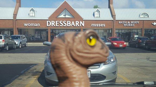 Bob the Raptor Says, "Mammals come here to get clothes."