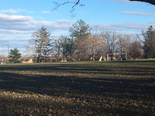 Friends Of Fluehr Park