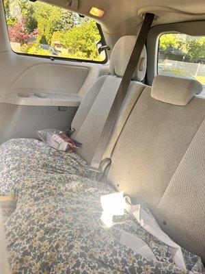 Clean Freak’s Carpet and Upholstery