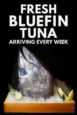 bluefin tuna