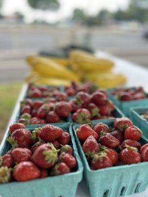 Moholt Fresh Produce