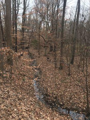 Seven Oaks Preserve Trail