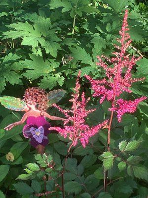 Ace of Spades Garden Gallery