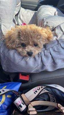 Virginia Welcome Center at New Church