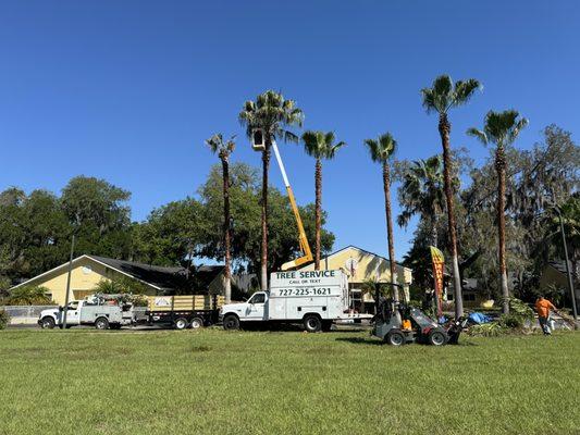 ASAP Crane and Tree Service