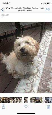 Kanine Spa & DayCare