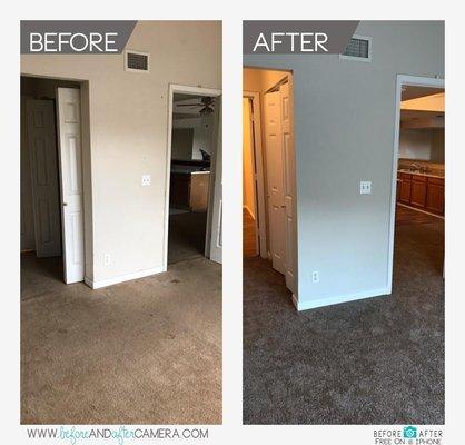 Carpet, paint, doors, baseboard, trim