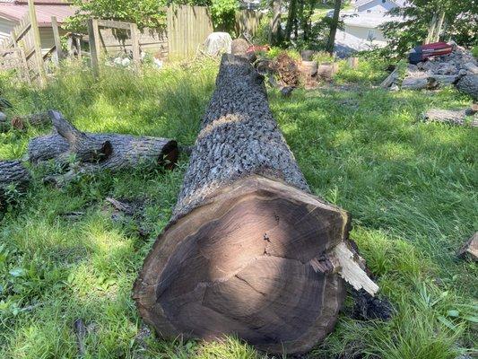 Premium Tree Service