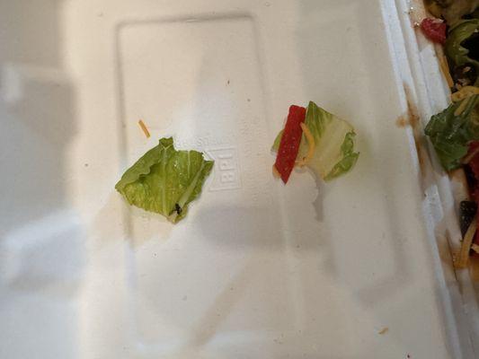 Meconi's Italian Subs