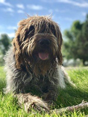 Steens Country Cabin