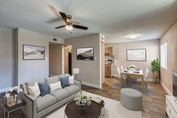 Park Paloma Apartments