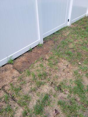 Elevation Landscaping