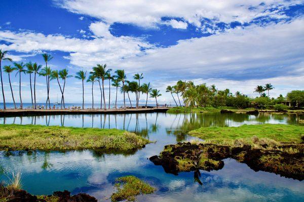 Waikoloa Beach Villas