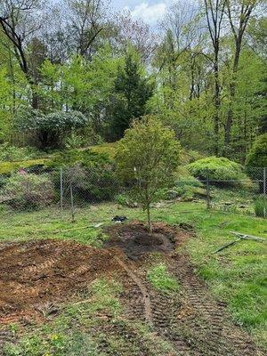 Precision Tree and Landscape, LLC