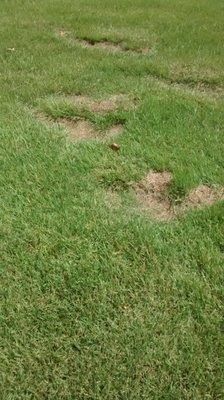 Paul's Lawn Service