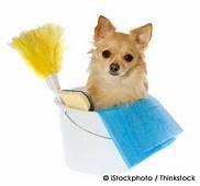 Crystal Clean Maid Service