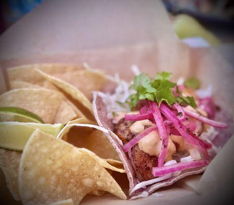 Baja Bay Surf & Taco