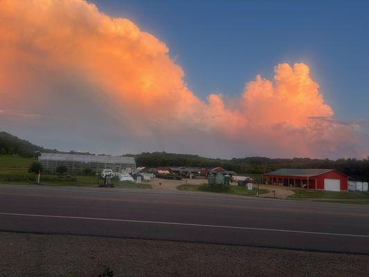 Cedar Hill Greenhouses