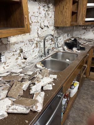 Will’s handyman services